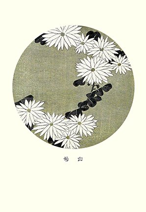 photo87.jpg