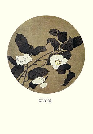 photo16.jpg