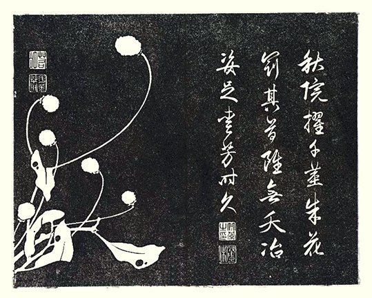 photo11.jpg