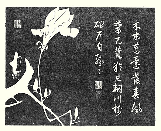 photo3.jpg