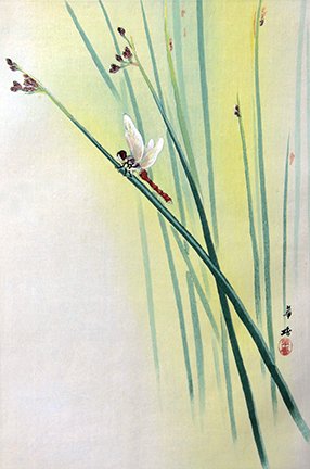 photo8.jpg