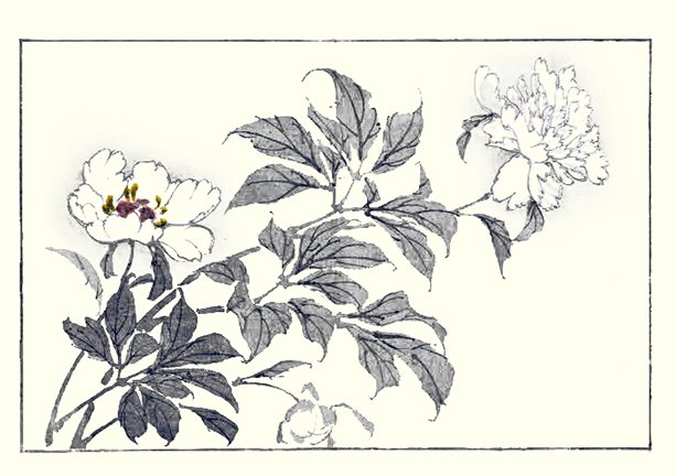 photo9.jpg