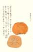 photo14_small.jpg