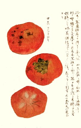 photo17.jpg