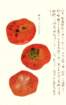 photo17_small.jpg