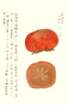 photo18_small.jpg