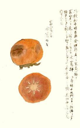 photo19.jpg