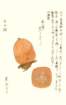 photo21_small.jpg