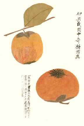 photo23.jpg