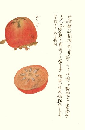 photo7.jpg