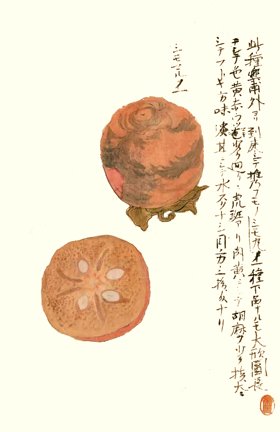 photo9.jpg