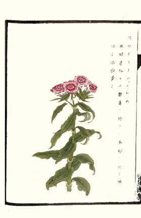 photo16.jpg