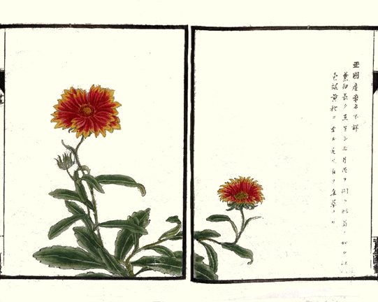 photo20.jpg