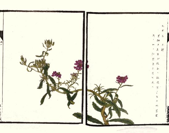 photo22.jpg