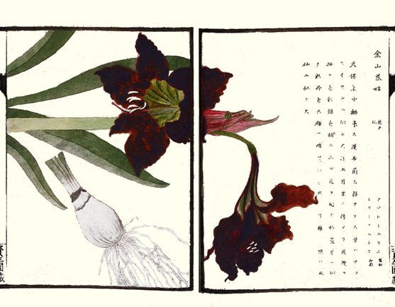 photo32.jpg