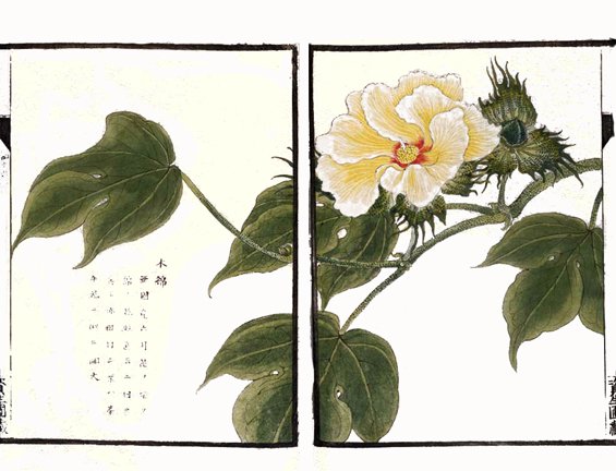 photo48.jpg