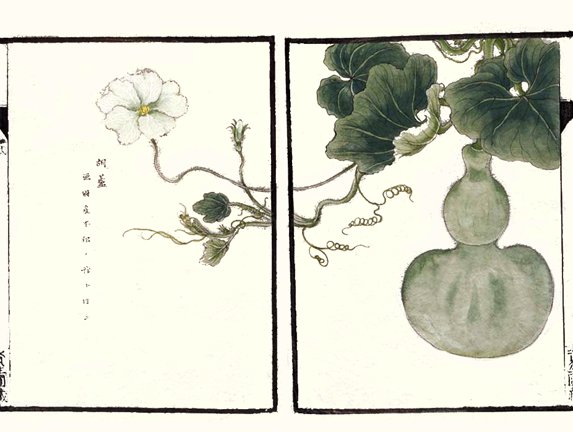 photo50.jpg