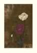 photo140_small.jpg