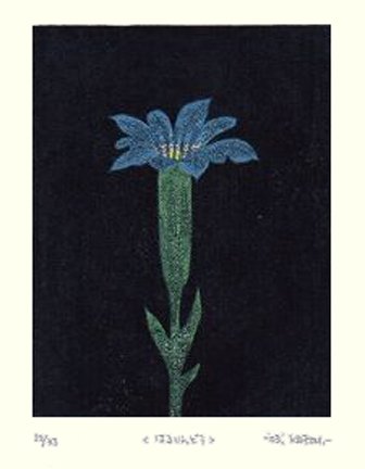 photo12.jpg