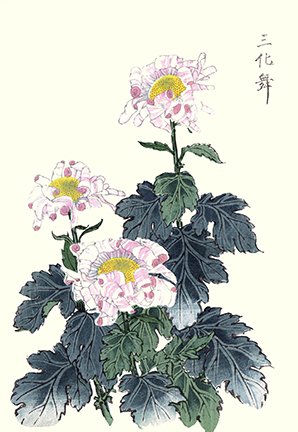 photo22.jpg