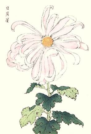 photo29.jpg
