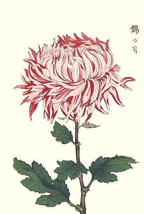 photo53.jpg