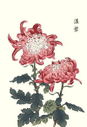 photo57.jpg
