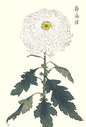 photo74.jpg