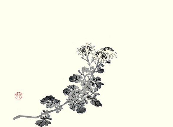 photo21.jpg