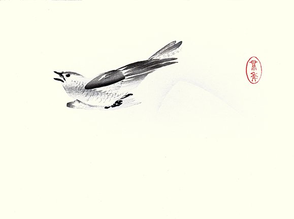 photo33.jpg