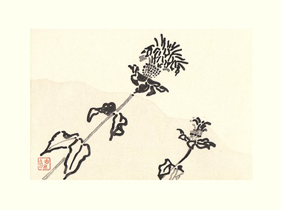photo26.jpg