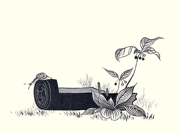 photo17.jpg