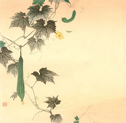 photo3.jpg