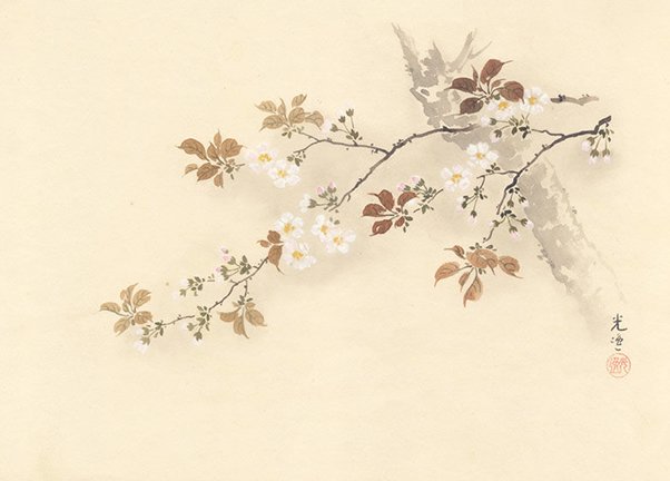 photo11.jpg