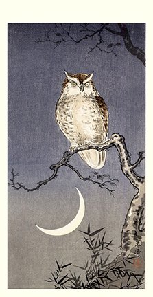 photo21.jpg
