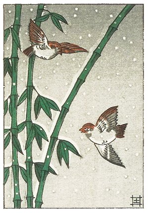 photo25.jpg
