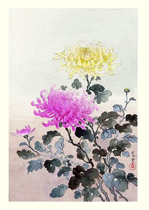 photo6.jpg