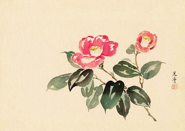 photo7.jpg