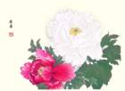 photo6_small.jpg