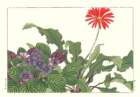 photo104_small.jpg
