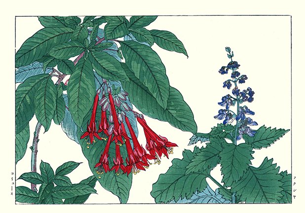photo120.jpg