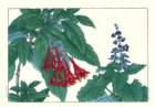 photo120_small.jpg