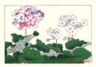 photo122_small.jpg