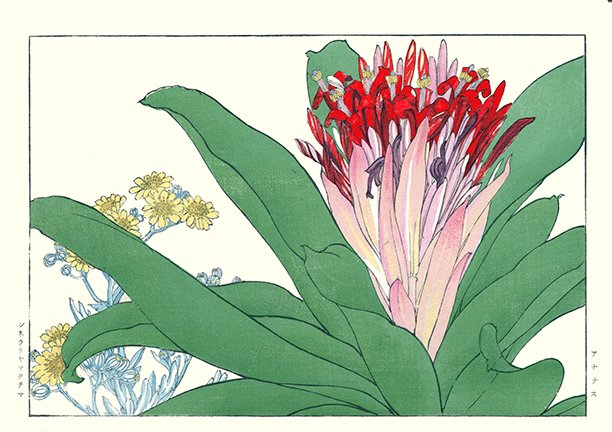 photo22.jpg