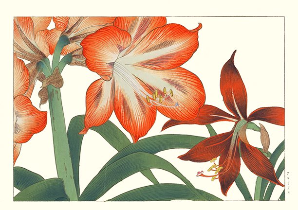 photo26.jpg