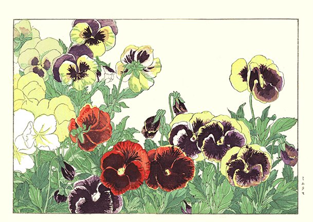 photo29.jpg