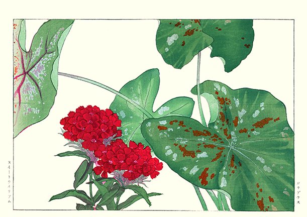 photo31.jpg