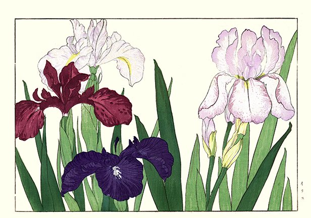 photo32.jpg