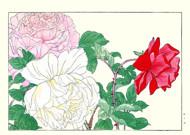 photo45.jpg