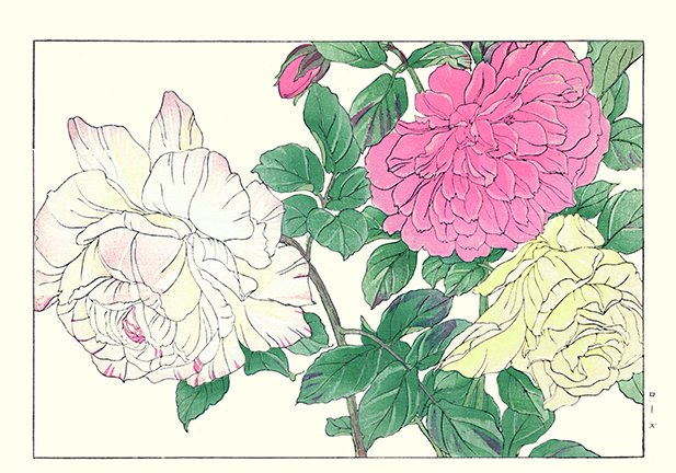 photo49.jpg